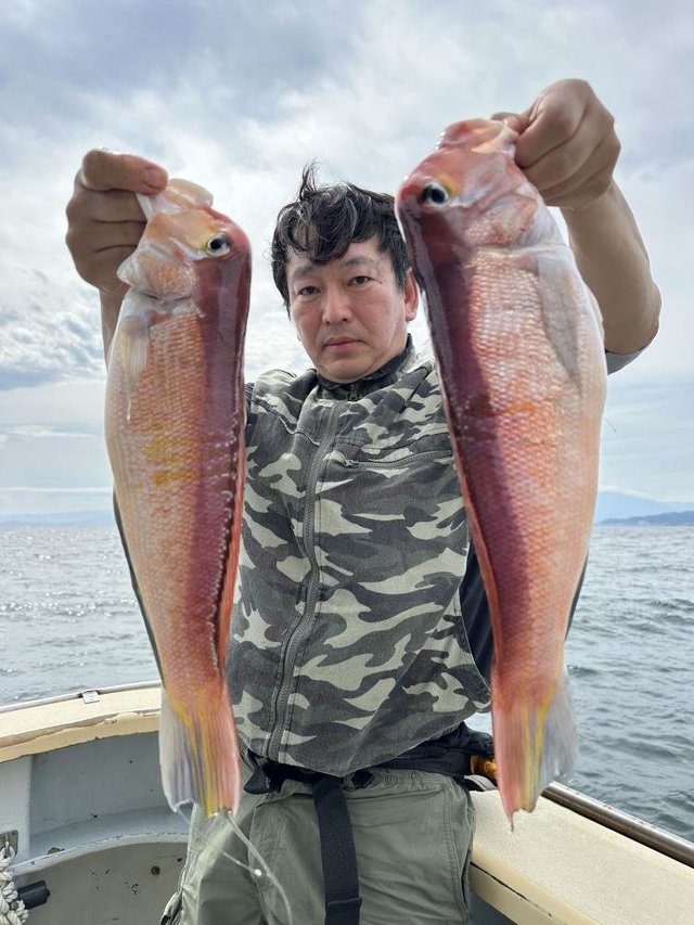 アマダイ(アカアマダイ)