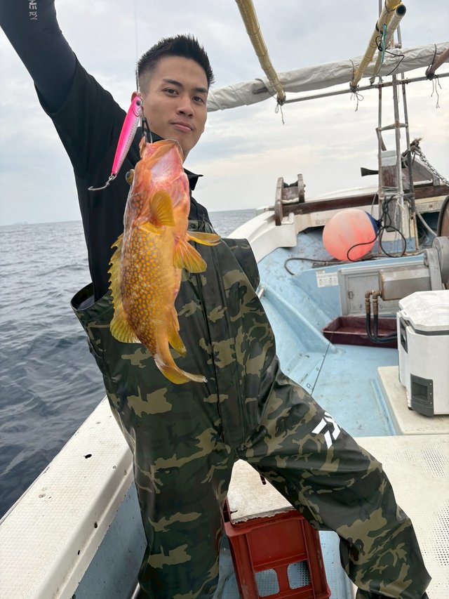 アコウ(キジハタ)