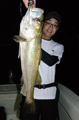 シーバス(スズキ)