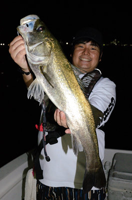 シーバス(スズキ)