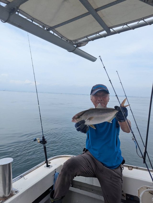 シオ(カンパチ)