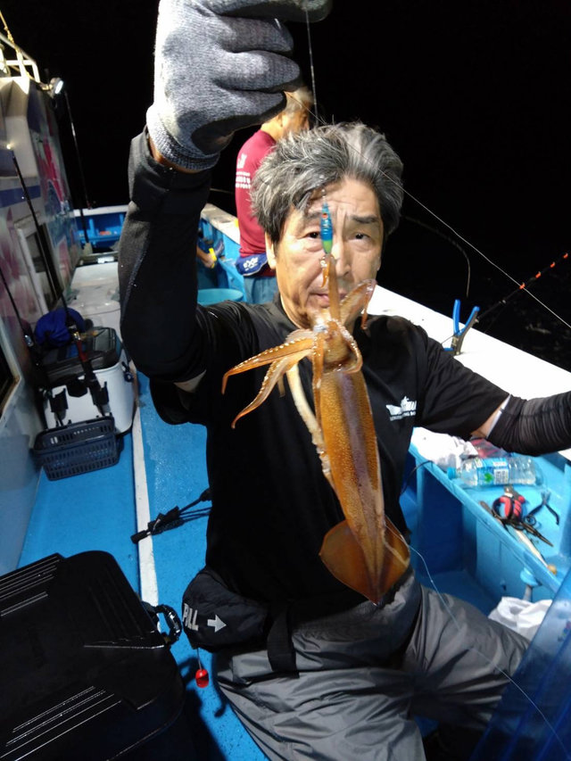 スルメ(スルメイカ)