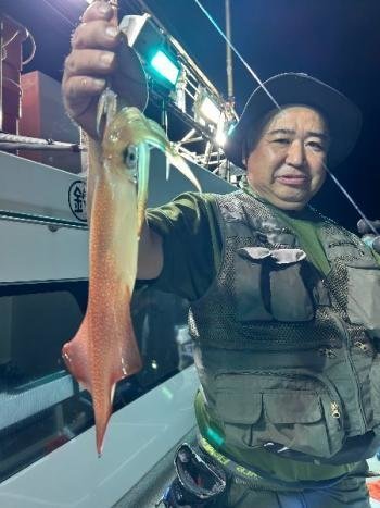 マイカ(ケンサキイカ)