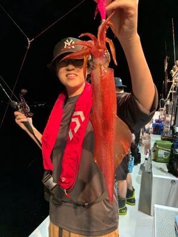 マイカ(ケンサキイカ)