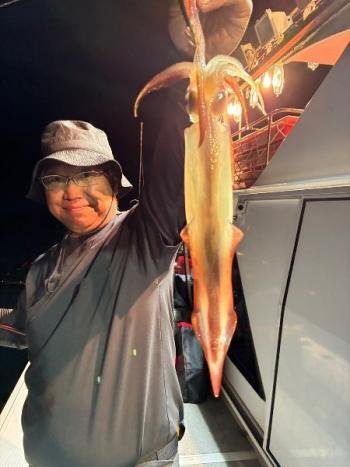 マイカ(ケンサキイカ)