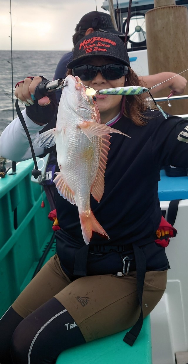 レンコダイ(キダイ)