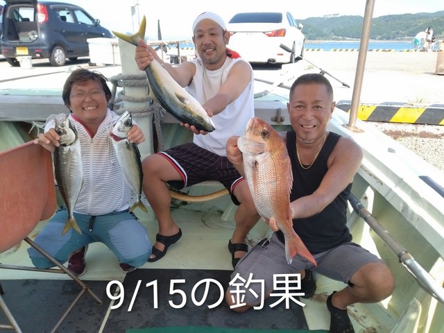 マダイ・マアジ・ハマチ(ブリ)