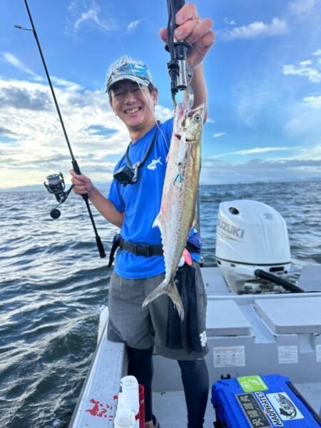 サゴシ(サワラ)