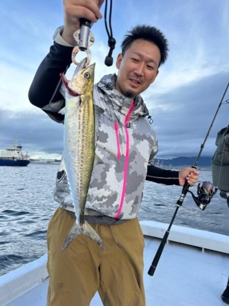 サゴシ(サワラ)