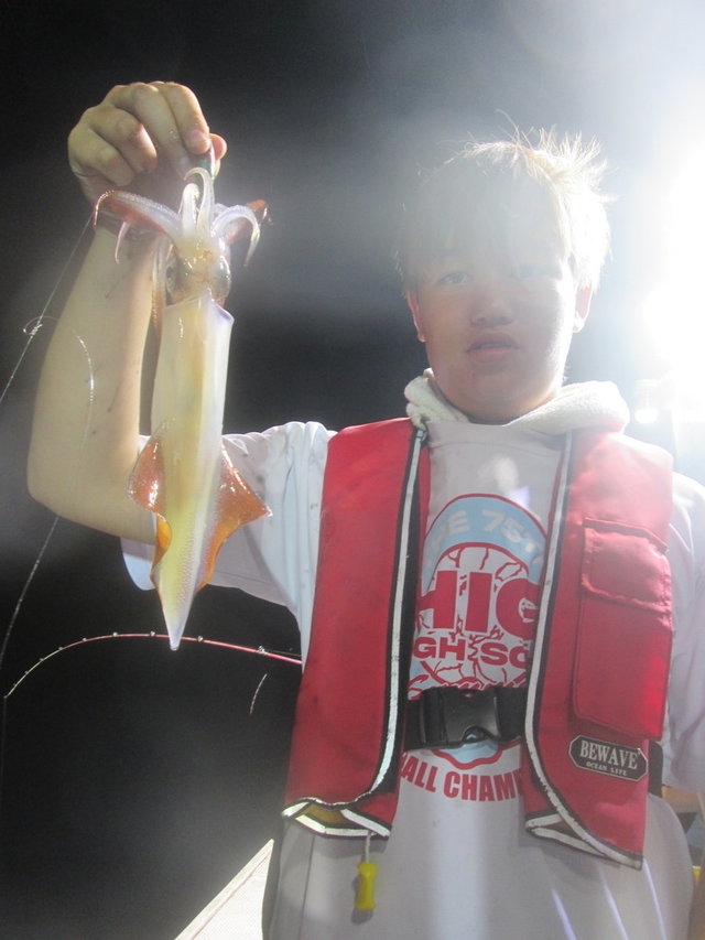 マイカ(ケンサキイカ)