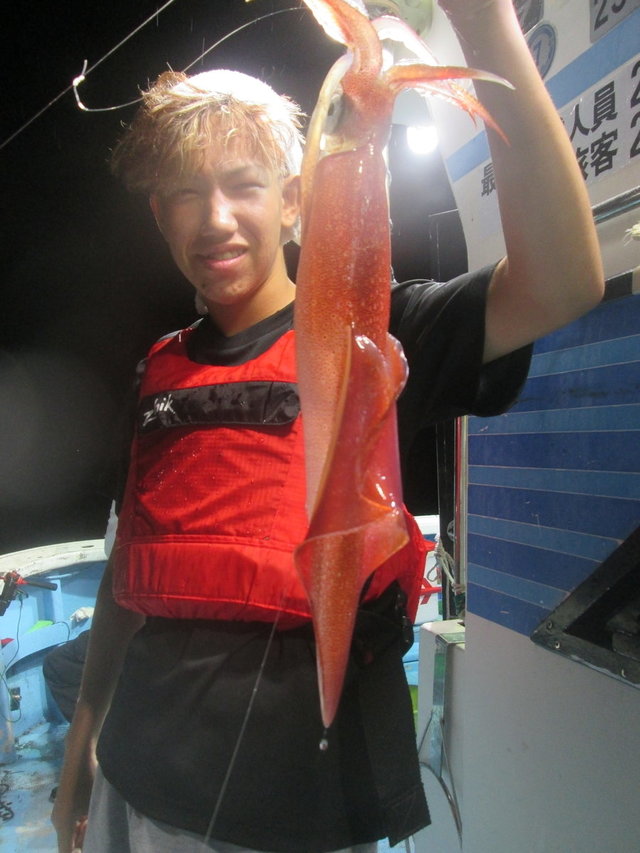 マイカ(ケンサキイカ)