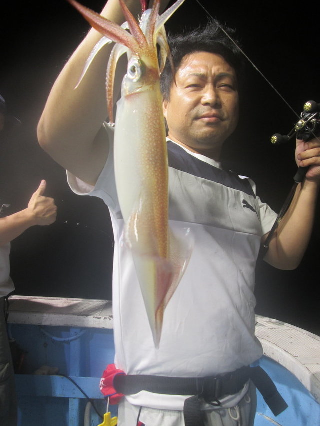 マイカ(ケンサキイカ)