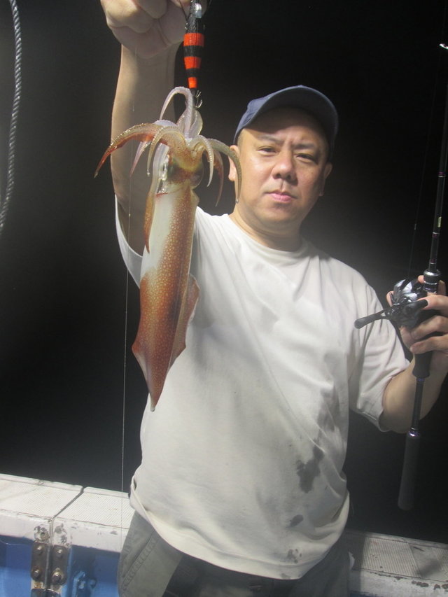 マイカ(ケンサキイカ)