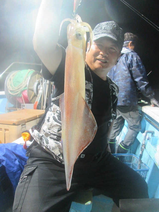 マイカ(ケンサキイカ)