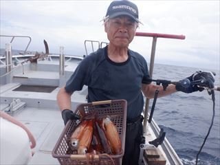 イカ(ケンサキイカ)