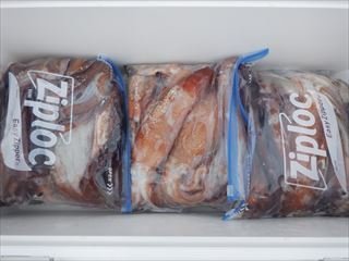 イカ(ケンサキイカ)