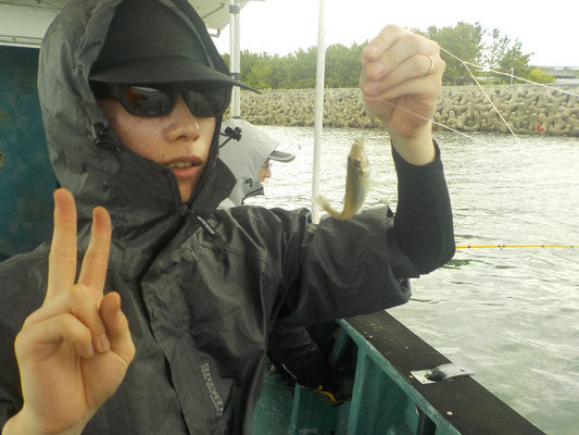 キス(シロギス)