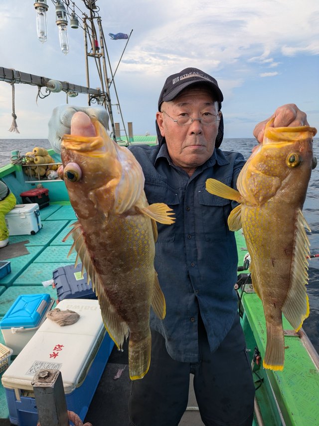 アオナ(アオハタ)