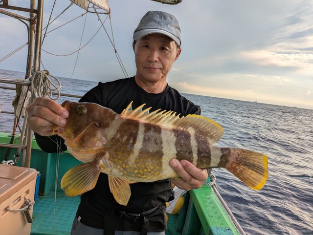 アオナ(アオハタ)