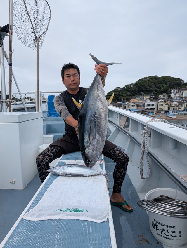 キメジ(キハダ)