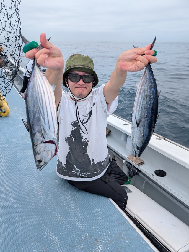 ホンガツオ(カツオ)