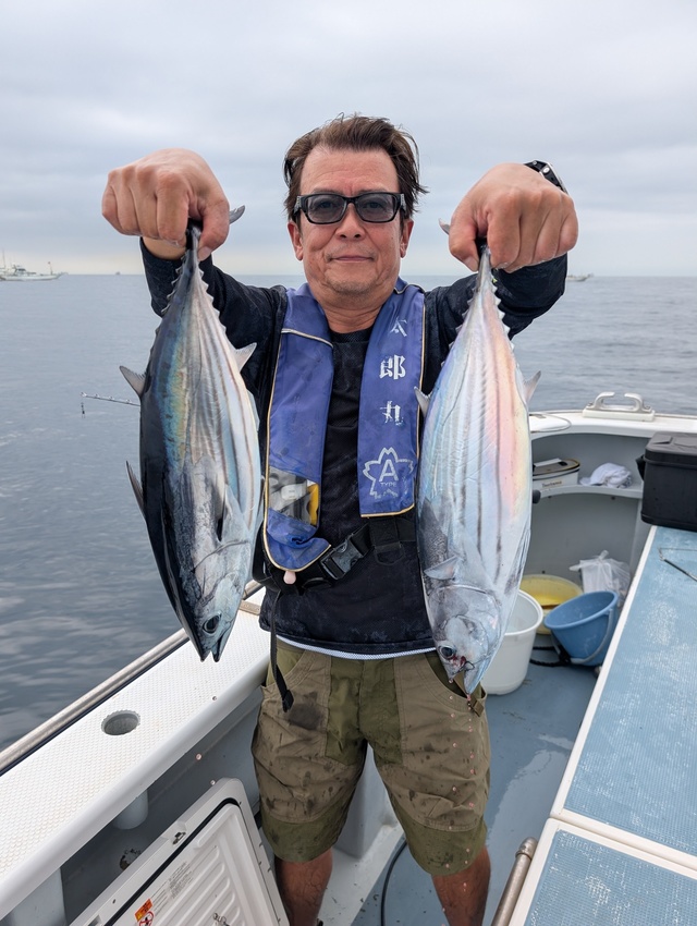 ホンガツオ(カツオ)