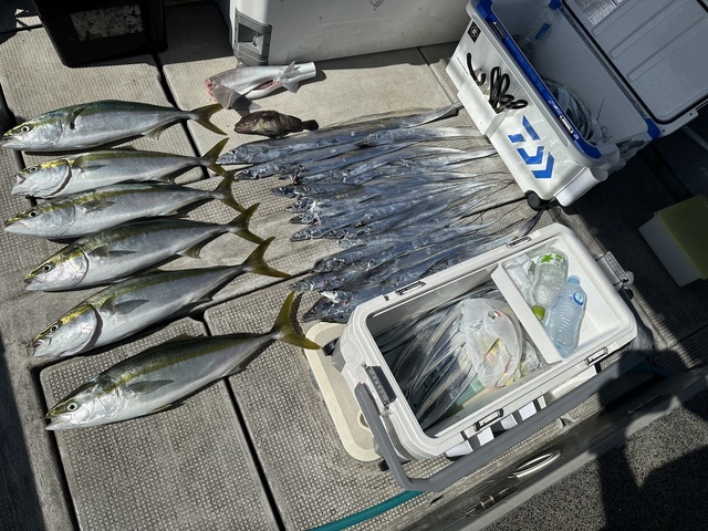 アオハタ・メジロ(ブリ)・タチウオ