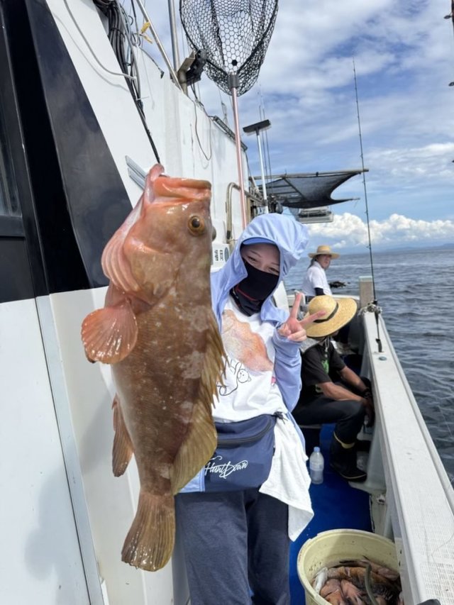 アコウ(キジハタ)