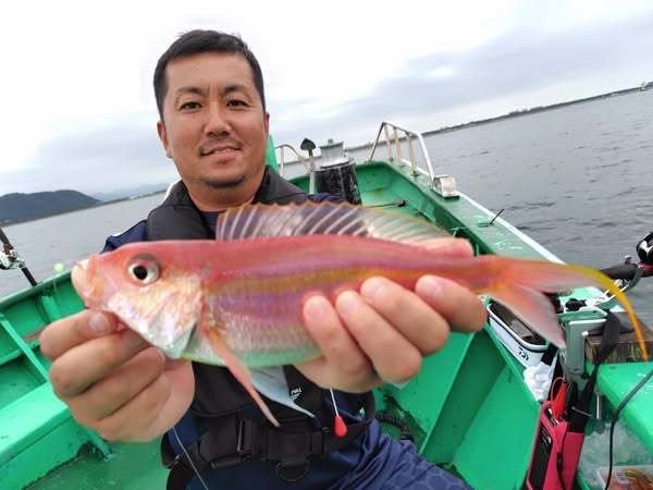 イトヨリ(イトヨリダイ)