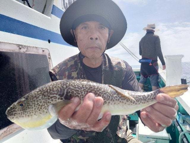 ショウサイフグ