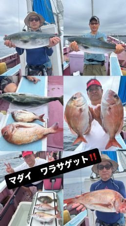 マダイ・ワラサ(ブリ)・カワハギ