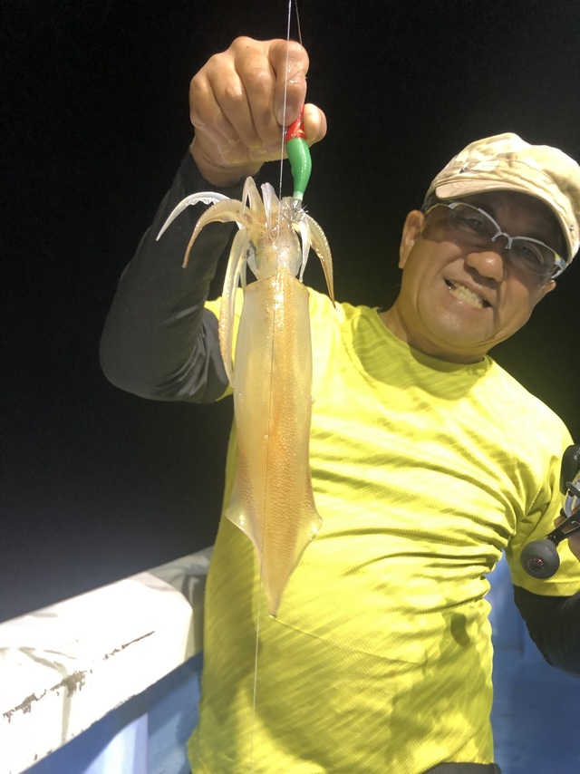 マルイカ(ケンサキイカ)