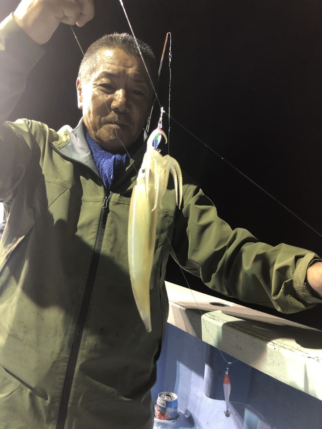 マルイカ(ケンサキイカ)