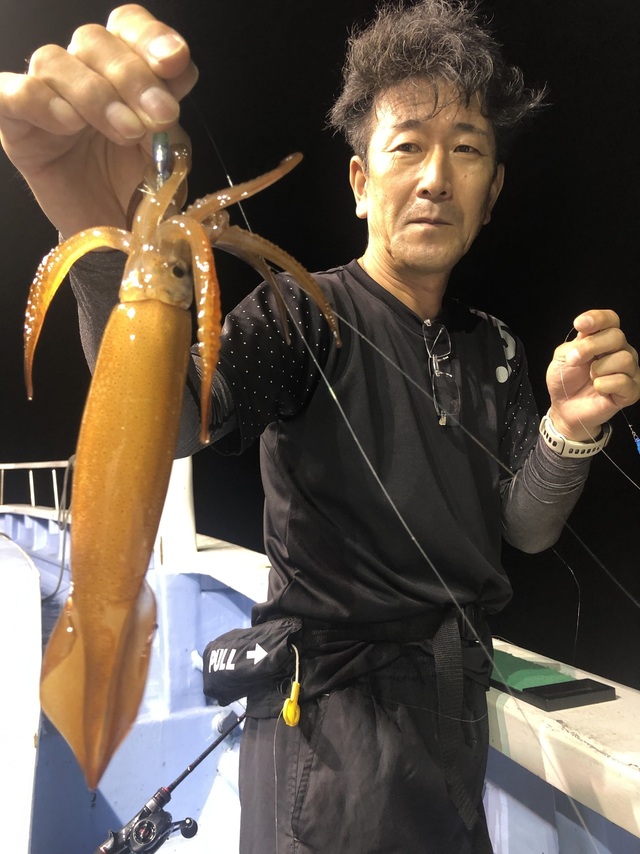 マルイカ(ケンサキイカ)