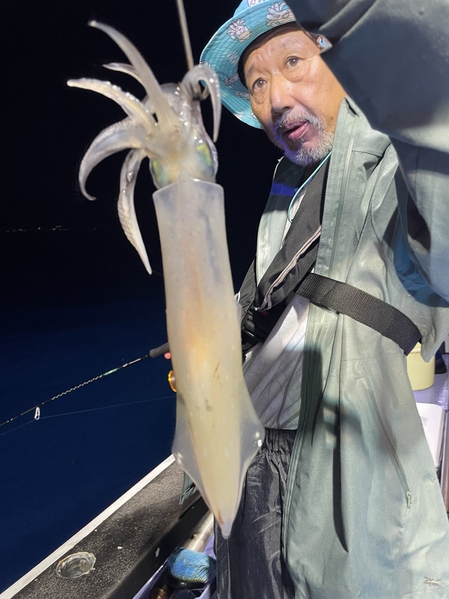 マルイカ(ケンサキイカ)