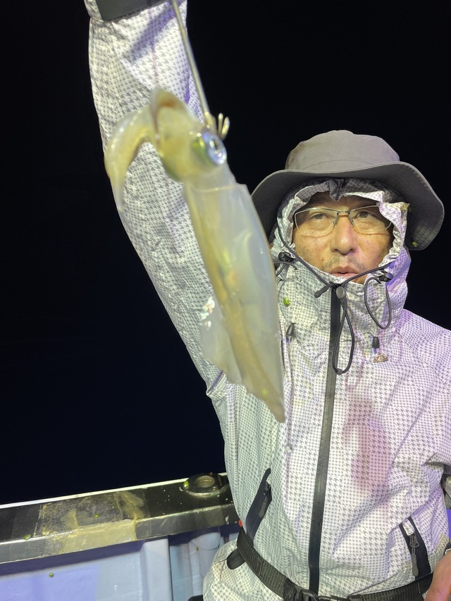 マルイカ(ケンサキイカ)