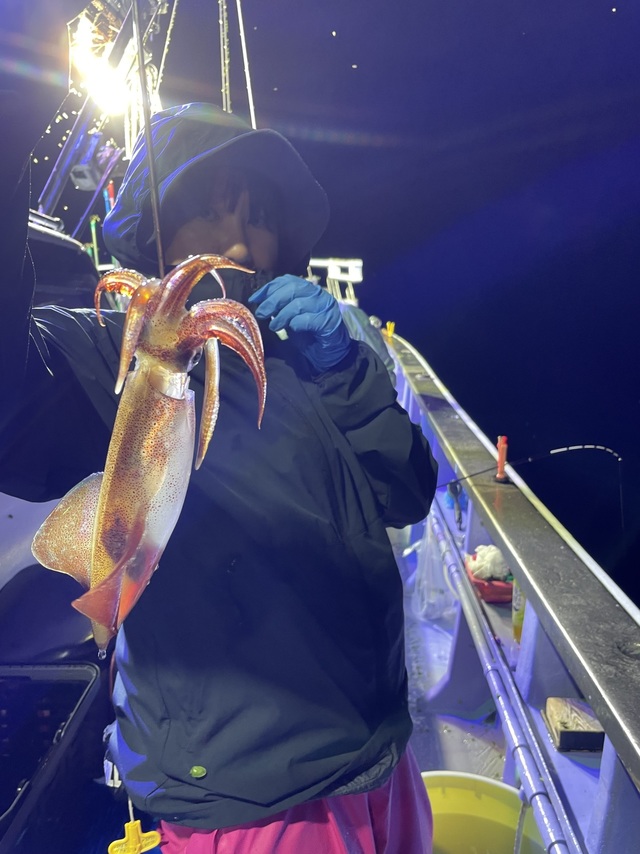 マルイカ(ケンサキイカ)