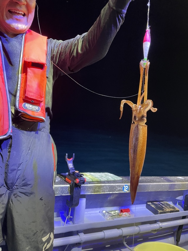 マルイカ(ケンサキイカ)