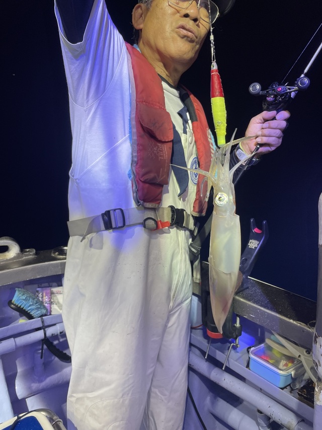 マルイカ(ケンサキイカ)