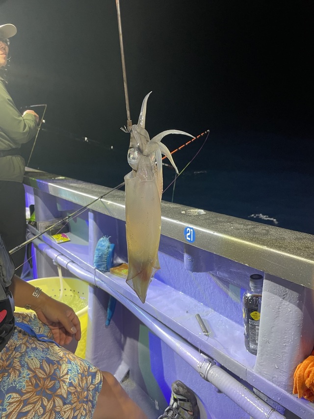 マルイカ(ケンサキイカ)