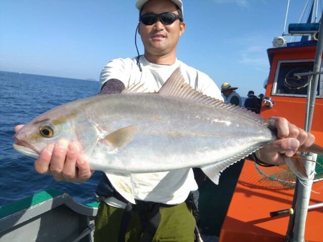 ネリゴ(カンパチ)