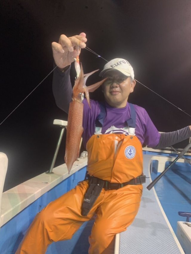 マルイカ(ケンサキイカ)