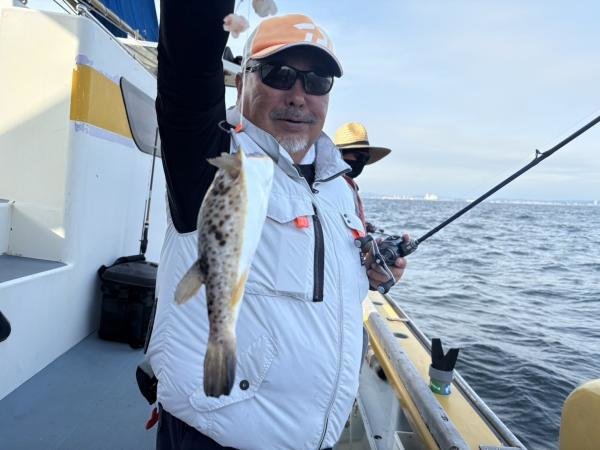 ショウサイフグ