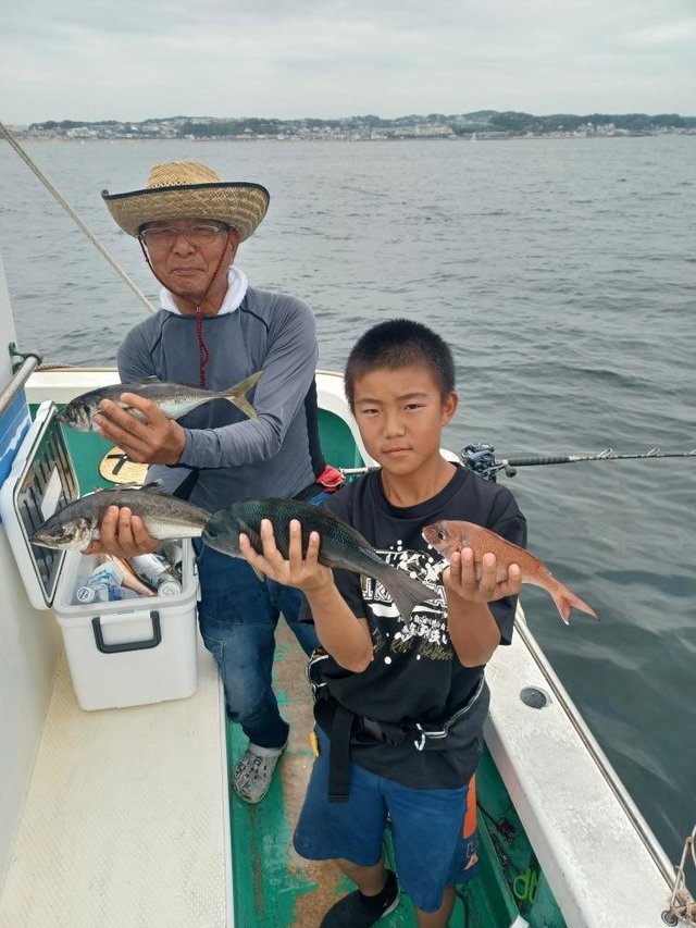 マダイ・メジナ・アジ(マアジ)