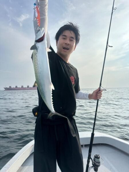 サゴシ(サワラ)