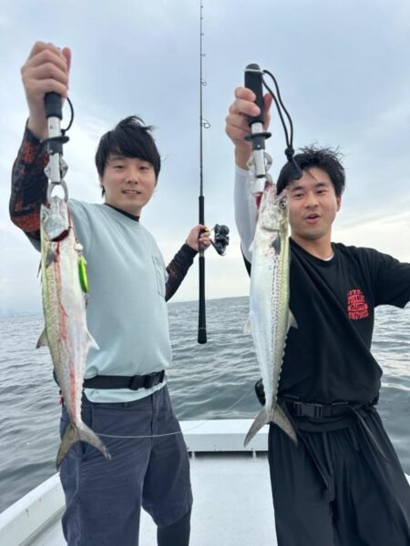 サゴシ(サワラ)