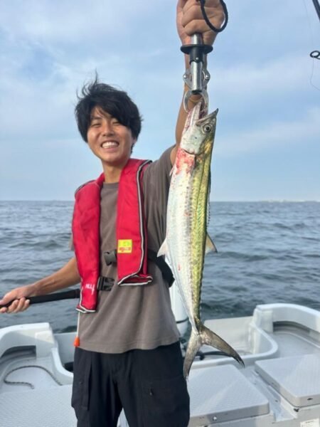 サゴシ(サワラ)