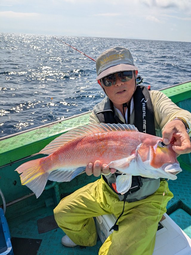 アマダイ(アカアマダイ)