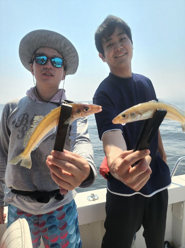 キス(シロギス)