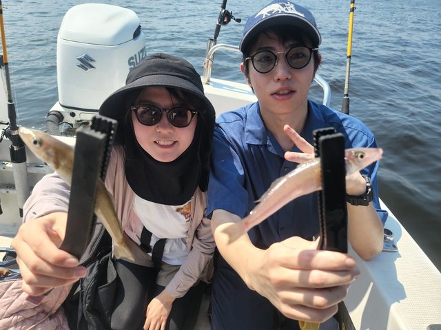 キス(シロギス)